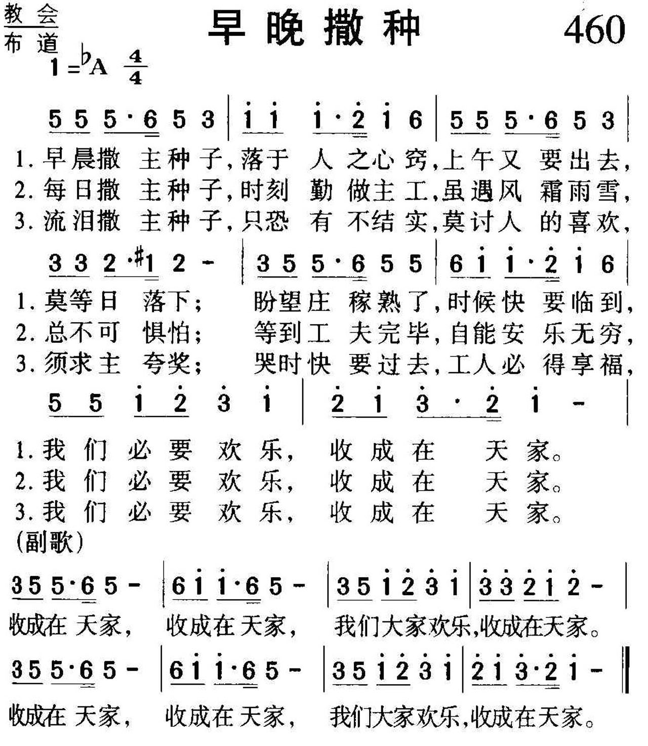 460早晚撒种.jpg